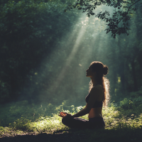 Sommer Yoga Spezial│ Wald- und Wiesenyoga